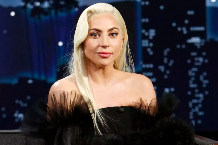 Lady Gaga si-a exprimat dispretul fata de Rusia in cadrul unui concert de la Los Angeles 