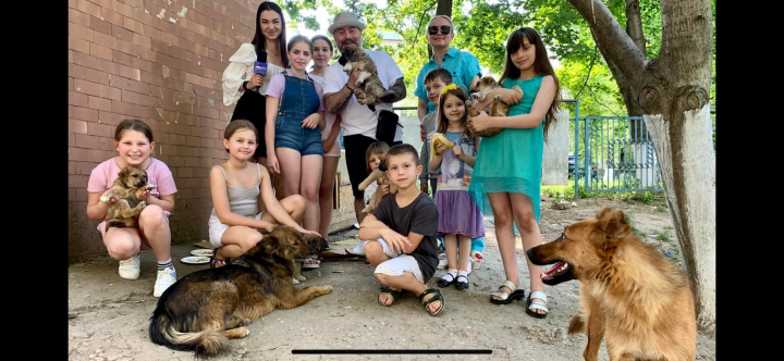 Sunt mici si au nevoie de iubirea unui stapan! Interpretul Martin Budurin - despre gasirea a sase sufletele jucause si cautarea unui adapost pentru ei - VIDEO Sunt mici si au nevoie de iubirea unui stapan! Interpretul Martin Budurin - despre gasirea a sase sufletele jucause si cautarea unui adapost pentru ei - VIDEO