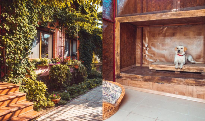 Tot mai multi moldoveni prefera sa lase animalele de companie in hoteluri specializate, atunci cand merg in concediu! Afla despre Pethouse, si care sunt conditiile in caz ca doresti sa iti lasi acolo prietenul pufos: „Ei se simt foarte bine la noi” - VIDEO
