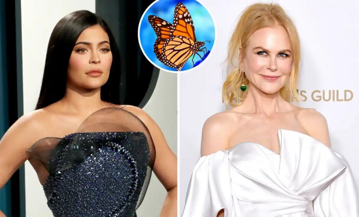 De la praf pana la clovni! Afla care sunt cele mai mari frici ale celebritatilor: „Mereu simt un disconfort intern cand sunt in preajma lor” De la praf pana la clovni! Afla care sunt cele mai mari frici ale celebritatilor: „Mereu simt un disconfort intern cand sunt in preajma lor”