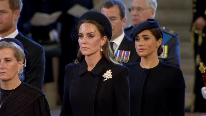 Meghan Markle a cerut o intalnire cu Regele Charles. Ce subiect vrea ducesa sa atace