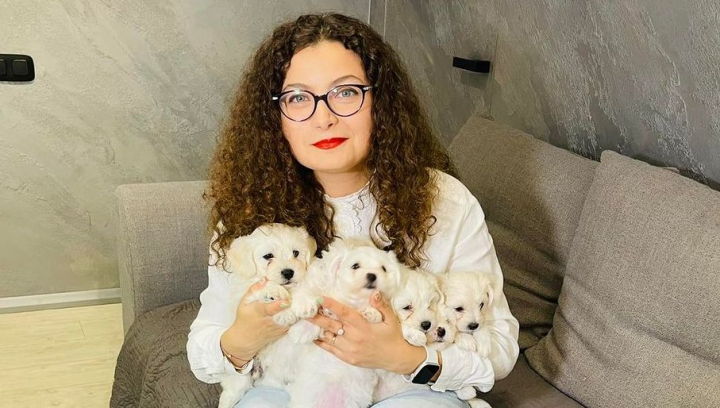 Ham-ham, la puterea a 7-a! Catelusa reporterului stirilor PRO TV a adus pe lume 7 pui. Vezi cum e sa-ti imparti locuinta cu aceste pufosenii. Mihaela Tabarcea: „De cand ii avem pe ei vin toti prietenii la noi sa-i vada” - VIDEO Ham-ham, la puterea a 7-a! Catelusa reporterului stirilor PRO TV a adus pe lume 7 pui. Vezi cum e sa-ti imparti locuinta cu aceste pufosenii. Mihaela Tabarcea: „De cand ii avem pe ei vin toti prietenii la noi sa-i vada” - VIDEO