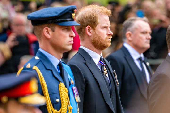 Noi detalii despre tensiunile dintre printii Harry si William. Cum vrea Kate Middleton sa-i „apropie”