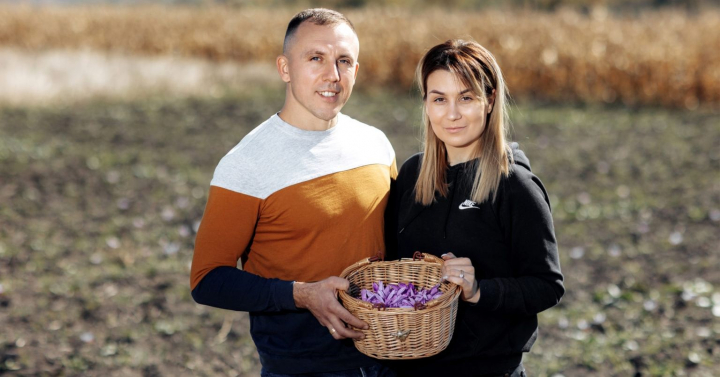 Cel mai scump condiment din lume - sofranul, creste si in Moldova! Agricultorul Alexandru Drugus iti explica cum il poti folosi si care sunt beneficiile sale: „Se spune ca si Alexandru cel Mare il folosea pentru a-si trata ranile” - VIDEO