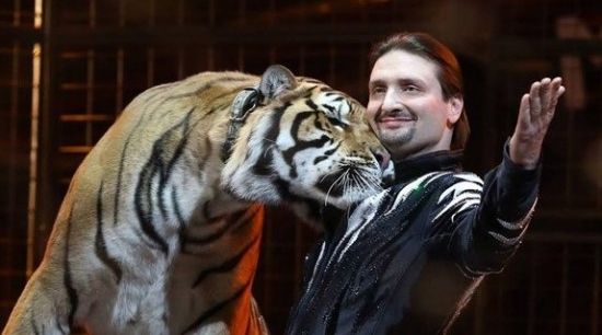 Imagini socante! Dresorul Edgard Zapashnii - atacat de tigrul sau. Vezi in ce stare este barbatul - VIDEO