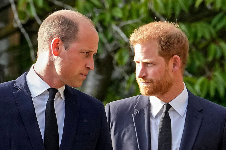 Printul Harry, dezvaluiri socante despre fratele sau, Printul William: „M-a trantit la pamant”