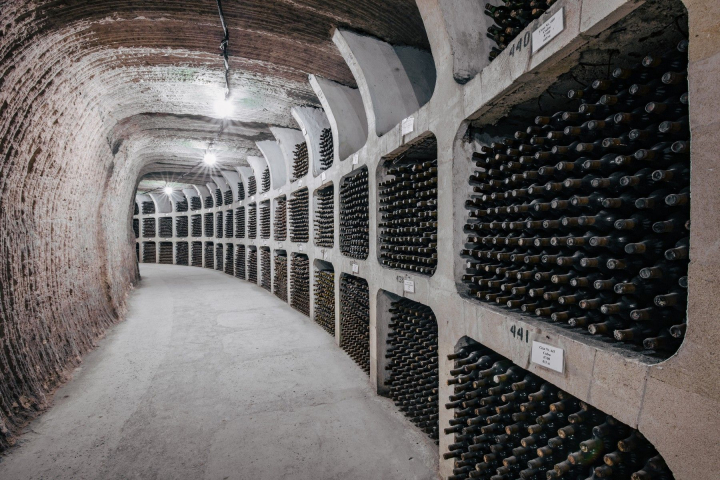 O noua emisiune la PRO TV, Wine Trips Romania! Vezi cine dintre vedetele autohtone s-au delectat cu cele mai selecte vinuri, alaturi de cunoscutul somelier, Sergiu Nedelea: „Incepem cu un pahar de vin si o vorba buna...” - VIDEO