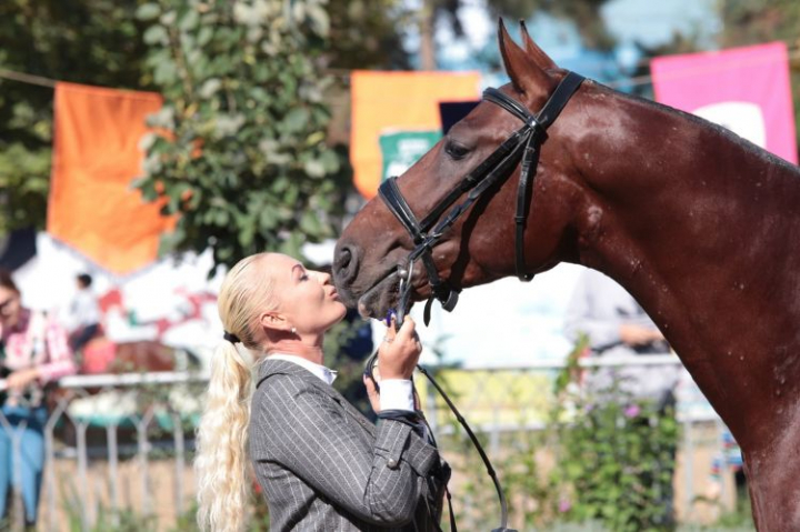 Hipismul - de la pasiune, la job! Afla povestea femeii-politiste, Oxana Darii: „Dimineata mea incepe la ora cinci” - VIDEO Hipismul - de la pasiune, la job! Afla povestea femeii-politiste, Oxana Darii: „Dimineata mea incepe la ora cinci” - VIDEO