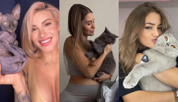 Ziua internationala a pisicii! Top 7 vedete de la noi care le-au ales drept animale de companie - FOTO/VIDEO