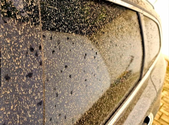 Praful din Sahara - pe social media! Cum au surprins vedetele de la noi acest fenomen - VIDEO Praful din Sahara - pe social media! Cum au surprins vedetele de la noi acest fenomen - VIDEO