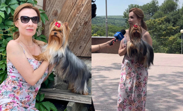 Câine din Moldova, campion în România! Cunoaște-o pe Fifa, un Yorkshire Terrier care a vizitat 12 țări în doar 20 de luni și a reușit să obțină meladii de aur la mai multe expoziții de frumusețe - VIDEO Câine din Moldova, campion în România! Cunoaște-o pe Fifa, un Yorkshire Terrier care a vizitat 12 țări în doar 20 de luni și a reușit să obțină meladii de aur la mai multe expoziții de frumusețe - VIDEO