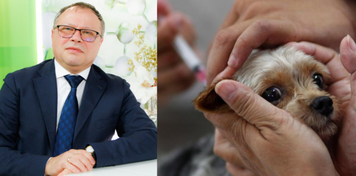 Primul ajutor în caz de mușcătură de câine! Medicul infecționist Gheorghe Plăcintă explică cum poți preveni rabia dacă animalul este contaminat: „Este una dintre puținele boli care...” - VIDEO