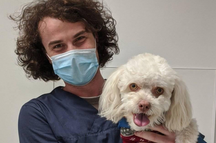 Ajută-ţi animalul de companie să se adapteze sezonului rece! Medicul veterinar Vladislav Pușnei îți explică cum - VIDEO