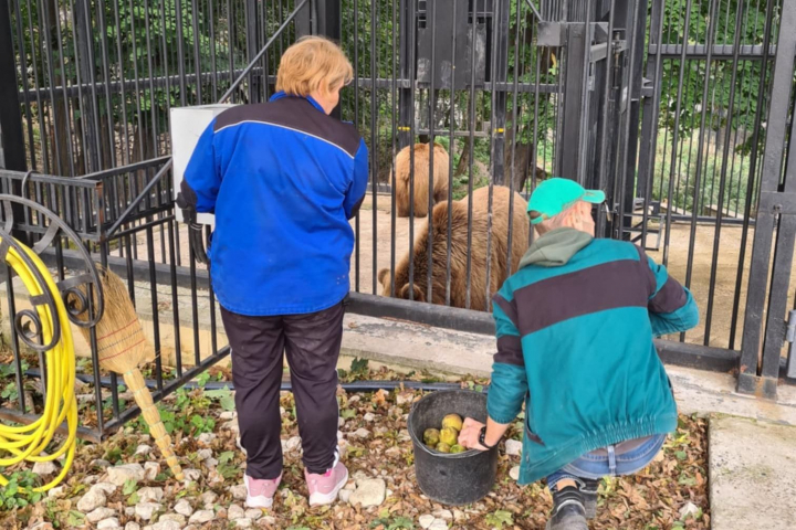 Are grijă de tigrii de la Grădina Zoologică din Chișinău de 3 ani! Cunoaște-l pe zoologul Eugen Dimov - VIDEO