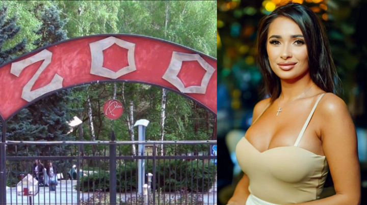 A simţit pe propria piele cum e să fii pentru o zi îngrijitor la Grădina Zoologică din Chișinău! Vezi cum a interacţionat Iulia Deliu cu maimuţele, tigrii şi urşii, dar şi dacă rămâne la zoo sau totuși în televiziune - VIDEO A simţit pe propria piele cum e să fii pentru o zi îngrijitor la Grădina Zoologică din Chișinău! Vezi cum a interacţionat Iulia Deliu cu maimuţele, tigrii şi urşii, dar şi dacă rămâne la zoo sau totuși în televiziune - VIDEO