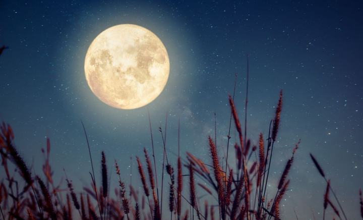 Lună plină pe 12 mai 2025. Ce trebuie să faci în această zi Lună plină pe 12 mai 2025. Ce trebuie să faci în această zi