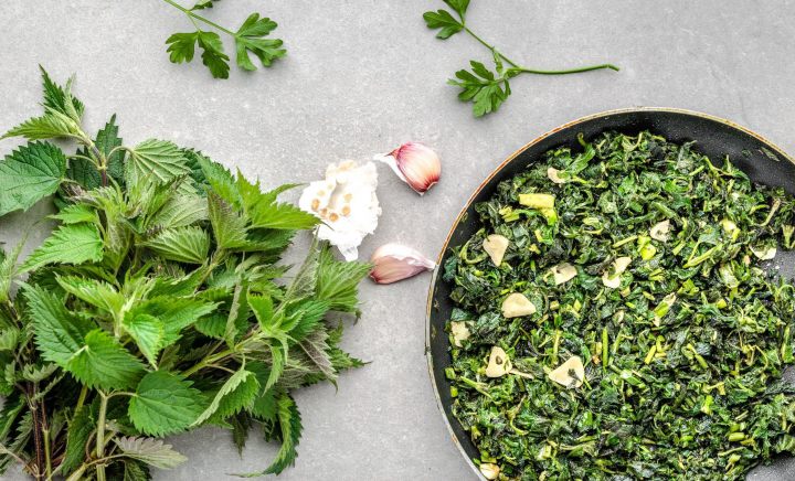 Iată de ce este bine să mâncăm urzici Iată de ce este bine să mâncăm urzici