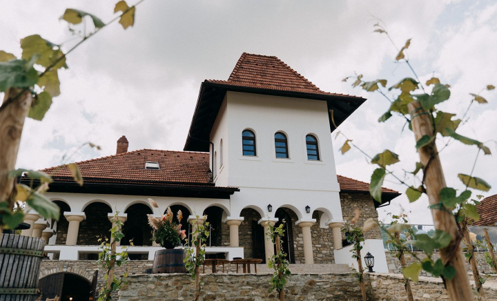 Dacă îți dorești o evadare din cotidian și visezi la un loc cu istorie și tradiție, găsești un colț de poveste chiar în inima Moldovei. Astăzi, la „O Seară Perfectă”, descoperă unde te poți odihni ca un adevărat boier și savura vinul autentic - VIDEO
Dacă îți dorești o evadare din cotidian și visezi la un loc cu istorie și tradiție, găsești un colț de poveste chiar în inima Moldovei. Astăzi, la „O Seară Perfectă”, descoperă unde te poți odihni ca un adevărat boier și savura vinul autentic - VIDEO