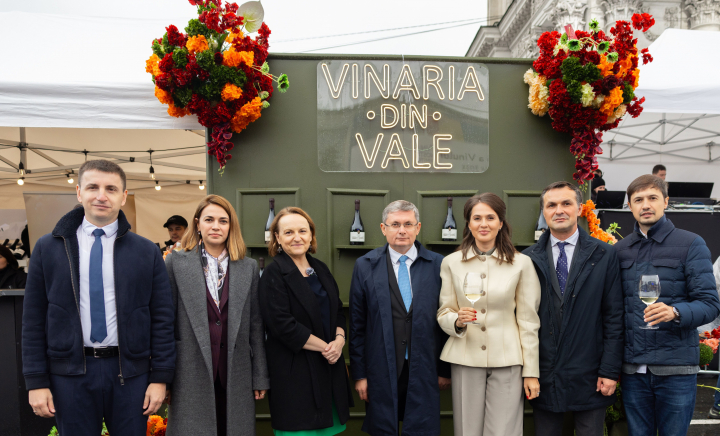 Vinăria din Vale a celebrat excelența prin colecția de vinuri „Vintage” de Ziua Națională a Vinului - VIDEO
Vinăria din Vale a celebrat excelența prin colecția de vinuri „Vintage” de Ziua Națională a Vinului - VIDEO