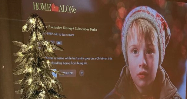 Home alone Home alone