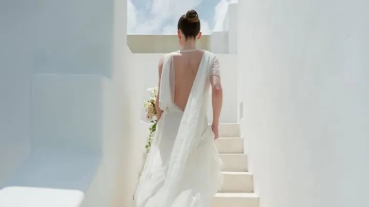 Nicole Brydon Bloom Nicole Brydon Bloom