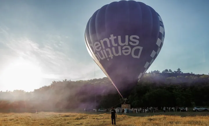 Dentus Dentino