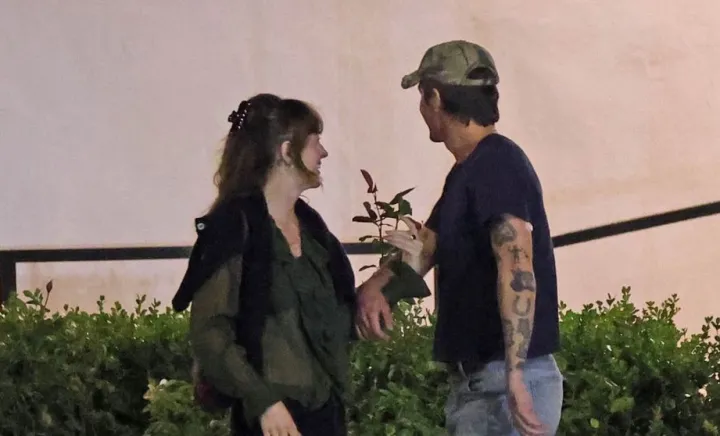 Dakota Johnson și Role Model 