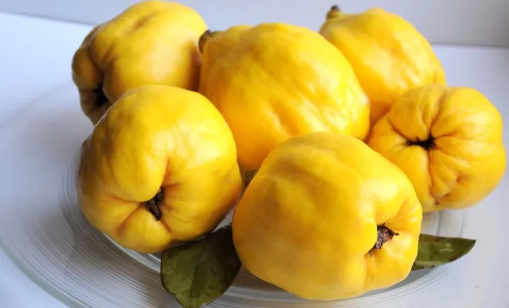 Poză simbol Poză simbol