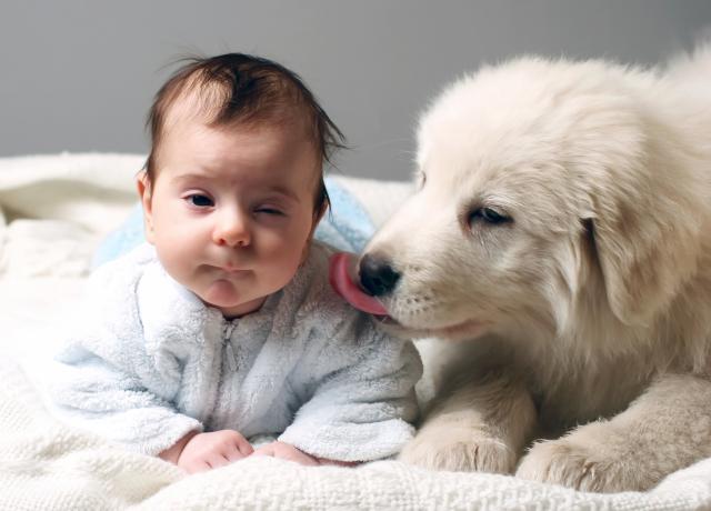 La ce riscuri te expui daca ai un animal de companie La ce riscuri te expui daca ai un animal de companie