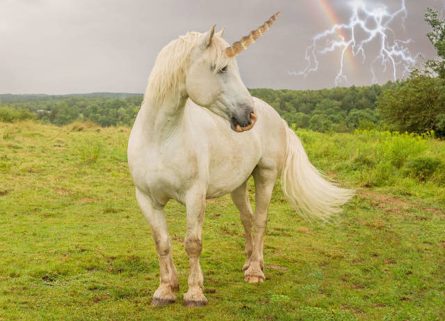 Unicornii au existat! Iata cum au descoperit oamenii de stiinta ca aratau - FOTO Unicornii au existat! Iata cum au descoperit oamenii de stiinta ca aratau - FOTO