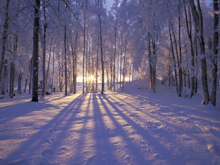 Horoscopul saptamanii 29 ianuarie - 4 februarie 2018. Cum stai cu dragostea, banii si cariera in aceasta perioada Horoscopul saptamanii 29 ianuarie - 4 februarie 2018. Cum stai cu dragostea, banii si cariera in aceasta perioada