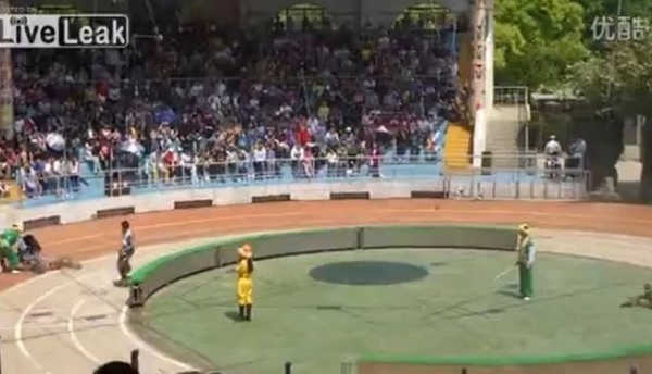 IMAGINI SOCANTE! Final tragic la un numar de circ - VIDEO