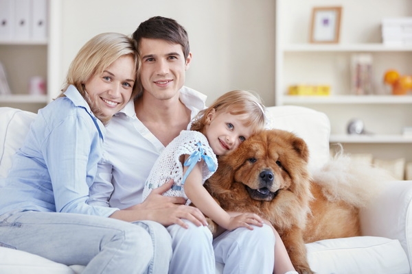 Vrei un animal de companie? S-ar putea sa te razgandesti Vrei un animal de companie? S-ar putea sa te razgandesti