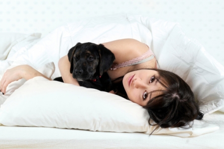 Ai un animal de companie? Greselile pe care NU trebuie sa le faci