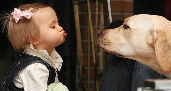 Copilul tau vrea un animal de companie? Lucruri de care trebuie sa tii cont