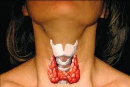 Cancerul tiroidian "“ cauze, simptome, tratament Cancerul tiroidian "“ cauze, simptome, tratament