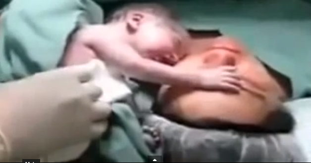 VIDEO uimitor! Un nou-nascut nu vrea sa se desparta de mama lui
VIDEO uimitor! Un nou-nascut nu vrea sa se desparta de mama lui