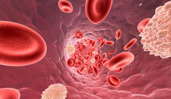 Colesterolul marit te poate ucide! Patru tipuri de alimente care il reduc din organism Colesterolul marit te poate ucide! Patru tipuri de alimente care il reduc din organism