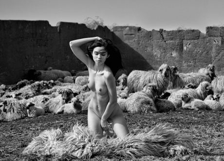 "Iata vin in cale, ciobanite goale." Fotografii NUD intr-o turma de oi - FOTO