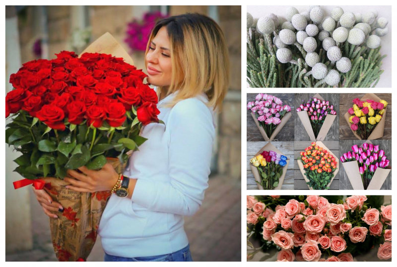 Flori rezistente la frig! Tina Fistashka te ajuta sa alegi cele mai frumoase buchete: „Amaryllis este una dintre florile cele mai cautate in sezonul rece.”
