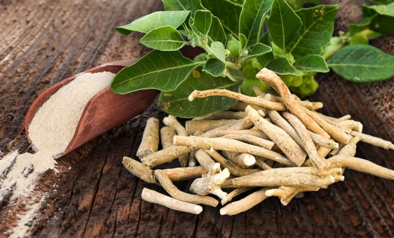 Cele 7 plante-minune pentru frumusețea pielii tale! Recomandările nutriționistei Diana Mereuță - FOTO