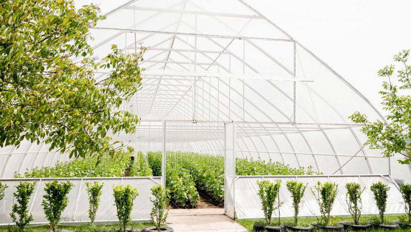 Sere în Moldova - ghid complet pentru alegerea materialelor și costurilor