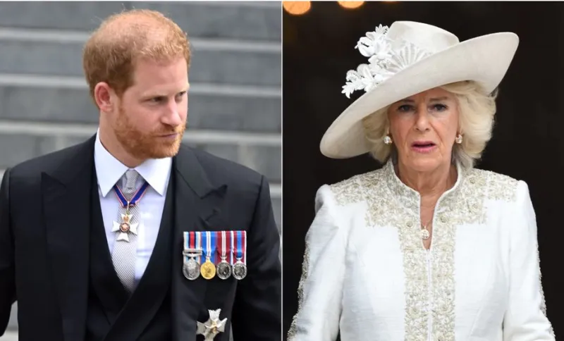 Cum a compromis Prințul Harry definitiv relația cu Regina Camilla: Expresia din cartea sa care a trecut linia roșie 
