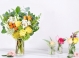 Febra pregatirilor de Valentine"™s Day e in toi. Surprinde-ti iubita cu cele mai originale compozitii florale - VIDEO