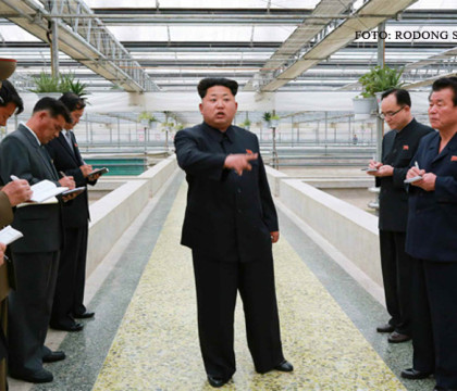 Vicepremierul nord-coreean ar fi fost executat dupa ce a criticat politicile forestiere puse in aplicare de Kim Jong-Un