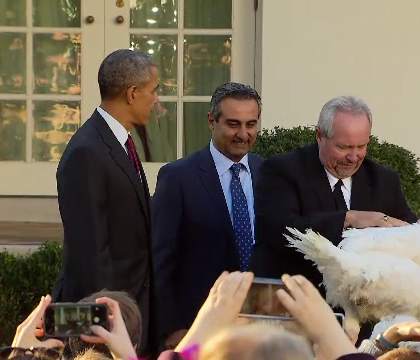 Ritualul bizar al americanilor, inainte de Ziua Recunostintei. Barack Obama a "gratiat" doi curcani de la taiere