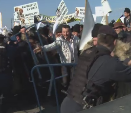 Guvernul roman amana aplicarea prevederilor referitoare la numarul de caini la stana si pasunat, dupa protestele ciobanilor din Romania