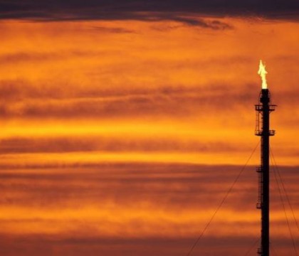 Arabia Saudita anunta ca nu e pregatita sa isi reduca productia de petrol pentru a sustine cotatia "aurului negru"