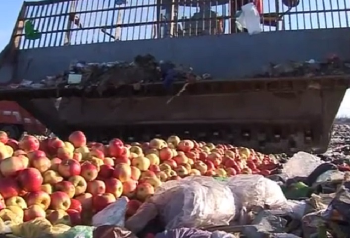VIDEO. Razbunarea Rosselhoznadzor. Momentul in care tone de mere moldovenesti sunt strivite cu buldozerul in Rusia