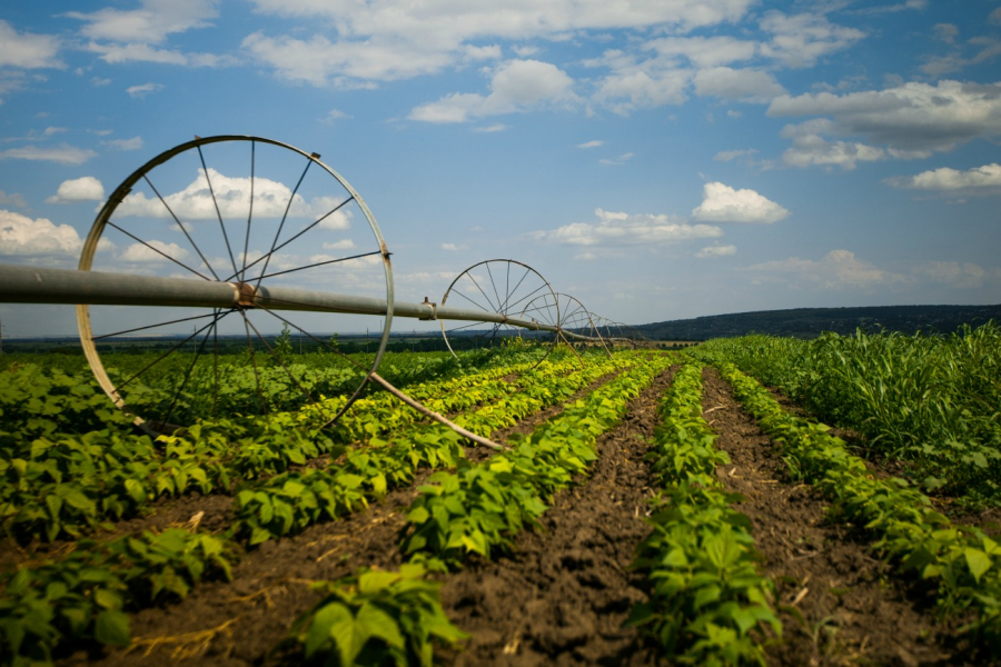 Obiectiv European: Agricultura moldoveneasca devine  mai competitiva cu sisteme de irigare modern